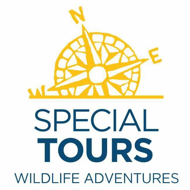 Special tours whale watching tours